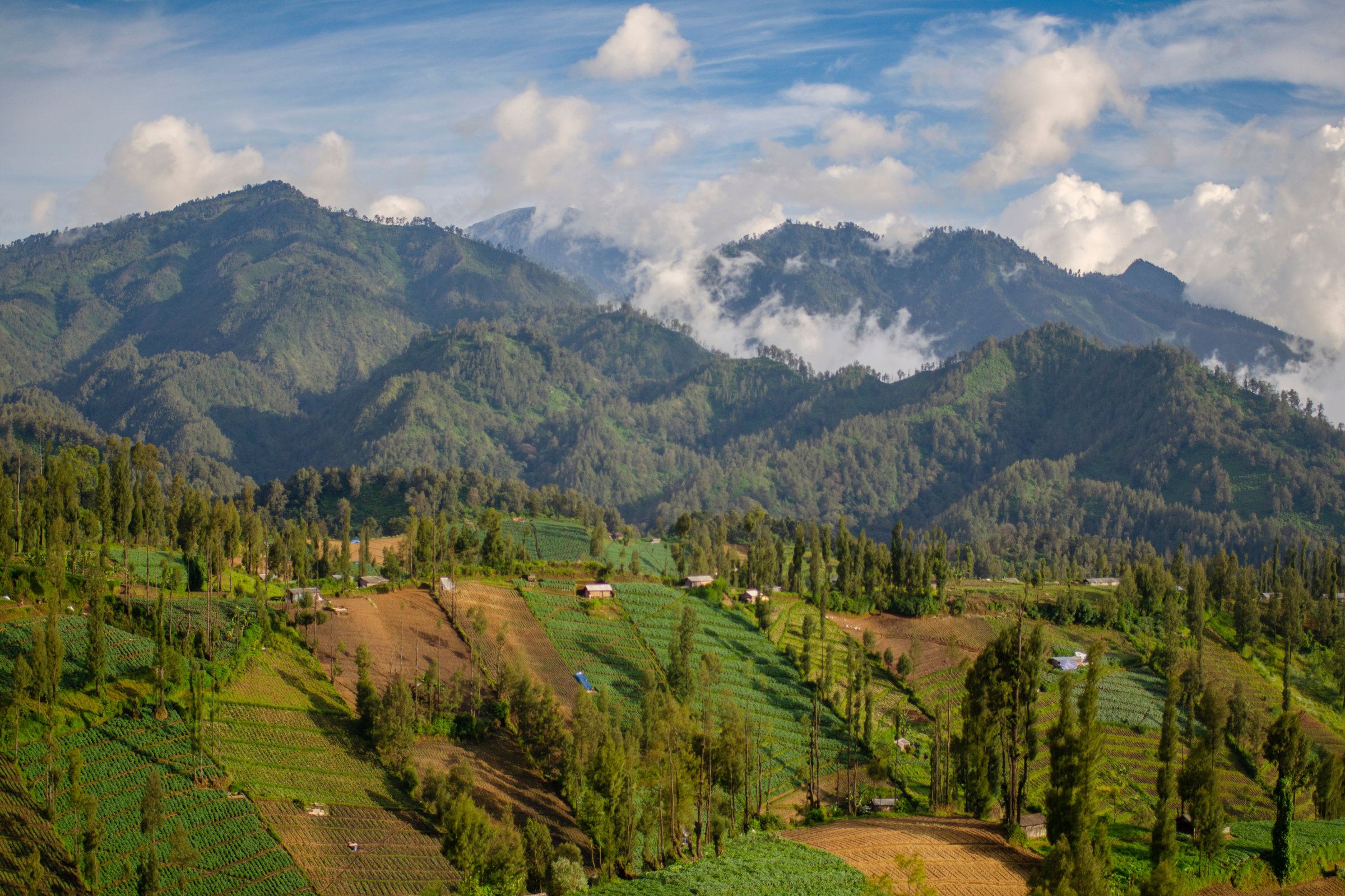 ngadas, east java (2).webp